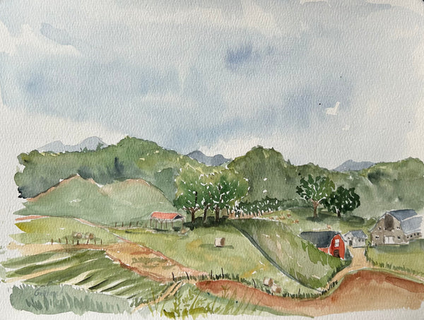 Rural North Carolina